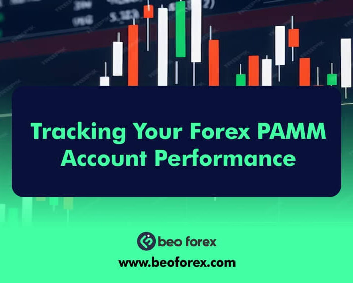 Tracking Your Forex PAMM Account Performance