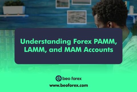 Understanding Forex PAMM, LAMM, and MAM Accounts