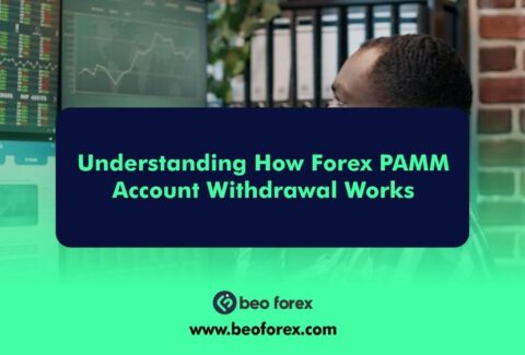 Understanding How Forex PAMM Account Withdrawal Works