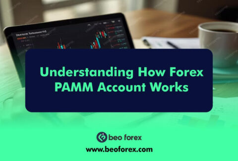 Understanding How Forex PAMM Account Works