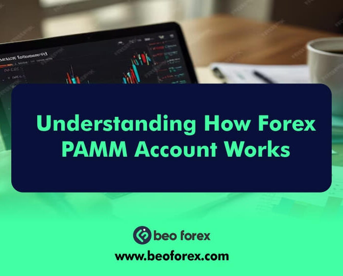 Understanding How Forex PAMM Account Works
