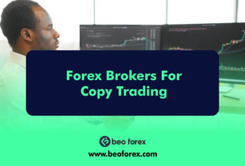 Forex Brokers For Copy Trading